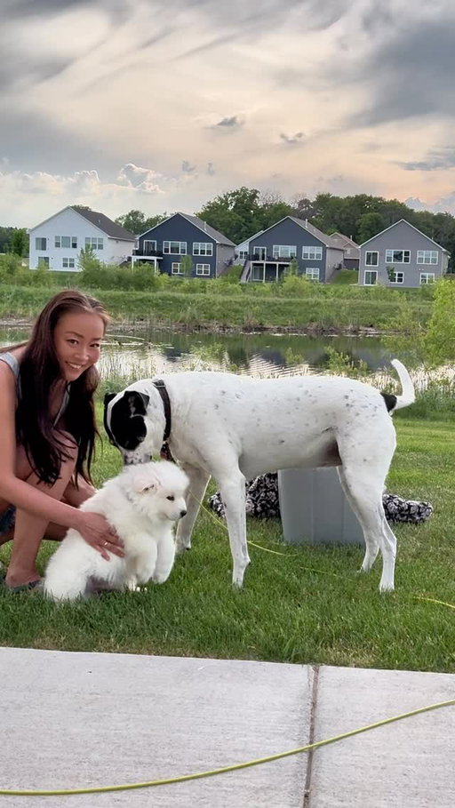 I was so nervous to have two dogs, but they are quickly becoming BFFs! 🐶🐶 Everybody, please give a warm welcome to Charlie! He’s a Samoyed and excited to be a part of our beauty loving pack! 

#newpuppy #samoyed #samoyedpuppy