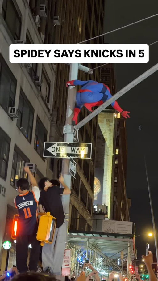 SPIDEY SIGHTING 🕷️