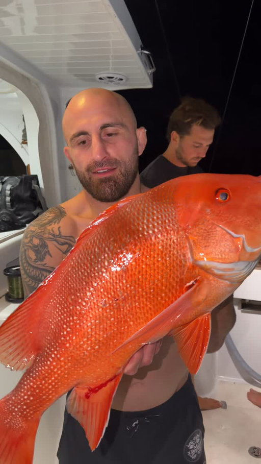 Red emperor in the paddock. If you know you know. Crazy fishing on the Great Barrier Reef, check the full adventure out on YouTube