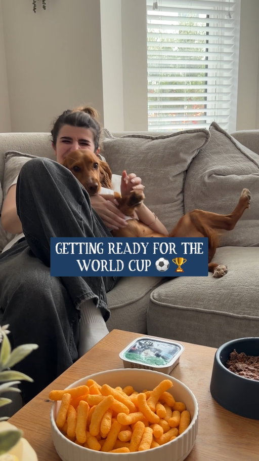 The World Cup has officially kicked off, and the preparation matters just as much as the match ⚽

Getting comfortable, settling in, and making sure nobody’s overlooked when the snacks come out.

#ButchersDogFood #WorldCup