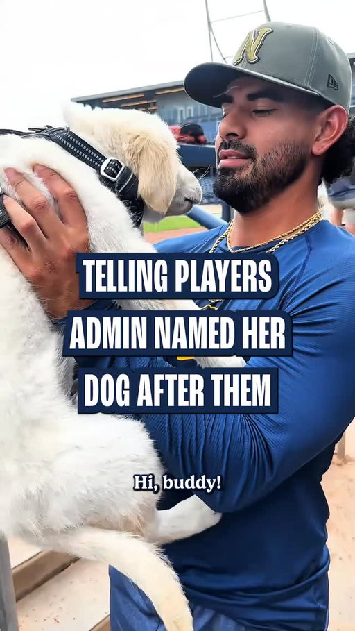 But it’s really just baseball players playing with a puppy
