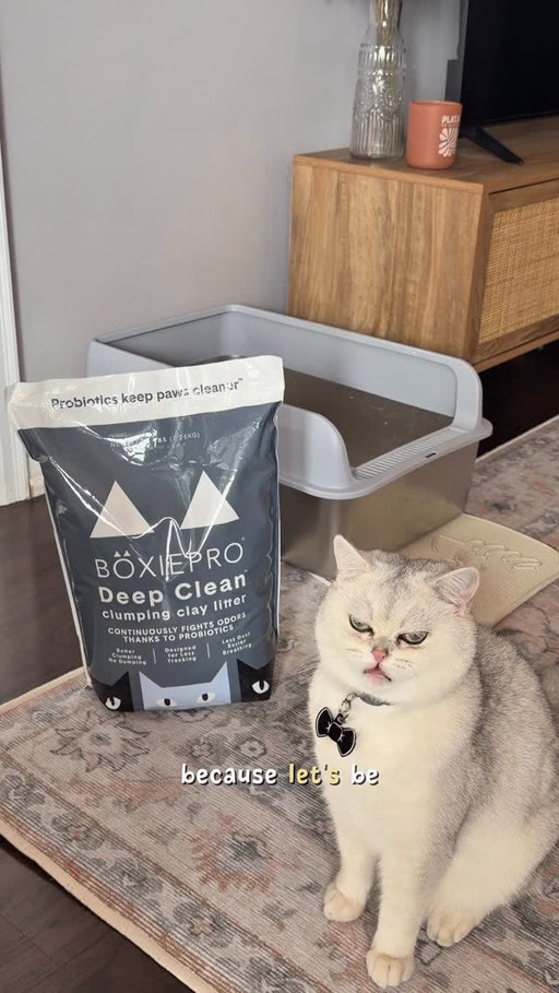 My cats, Casper and Mr. Beans, have officially taken over my Prime Day cart 🐾🛒

Their first request? BoxiePro Deep Clean Litter, because apparently “just any litter” is not acceptable in this household.

Honestly, they have a point. Cleaner paws, fresher home, tight clumps, low dust, and way less litter box drama? Very add to cart behaviour 😌

If your cats had a Prime Day wishlist, I feel like this would be on it!!

@boxiepet 

#boxiepartner #ad #ugc #contentcreator #reels