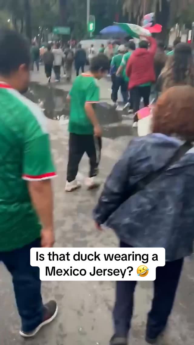 It seems everyone and everything is in the World Cup spirit in Mexico City. 😅

(H/T chris_sutton73/X)

#FIFAWorldCup