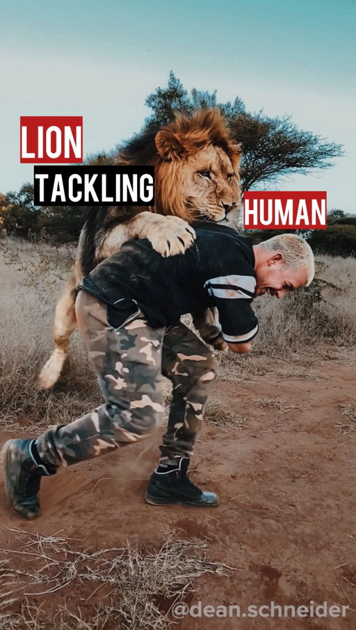 What a clean Tackedown😎. Best Comment winns a Videocall🎥 with me by the End of next Week! 🤓🦁❤️ Let’s Go🔥🔥🔥
•
Tag 2 People who must see this!👀
•
#deanschneider #hakunamipaka #lion