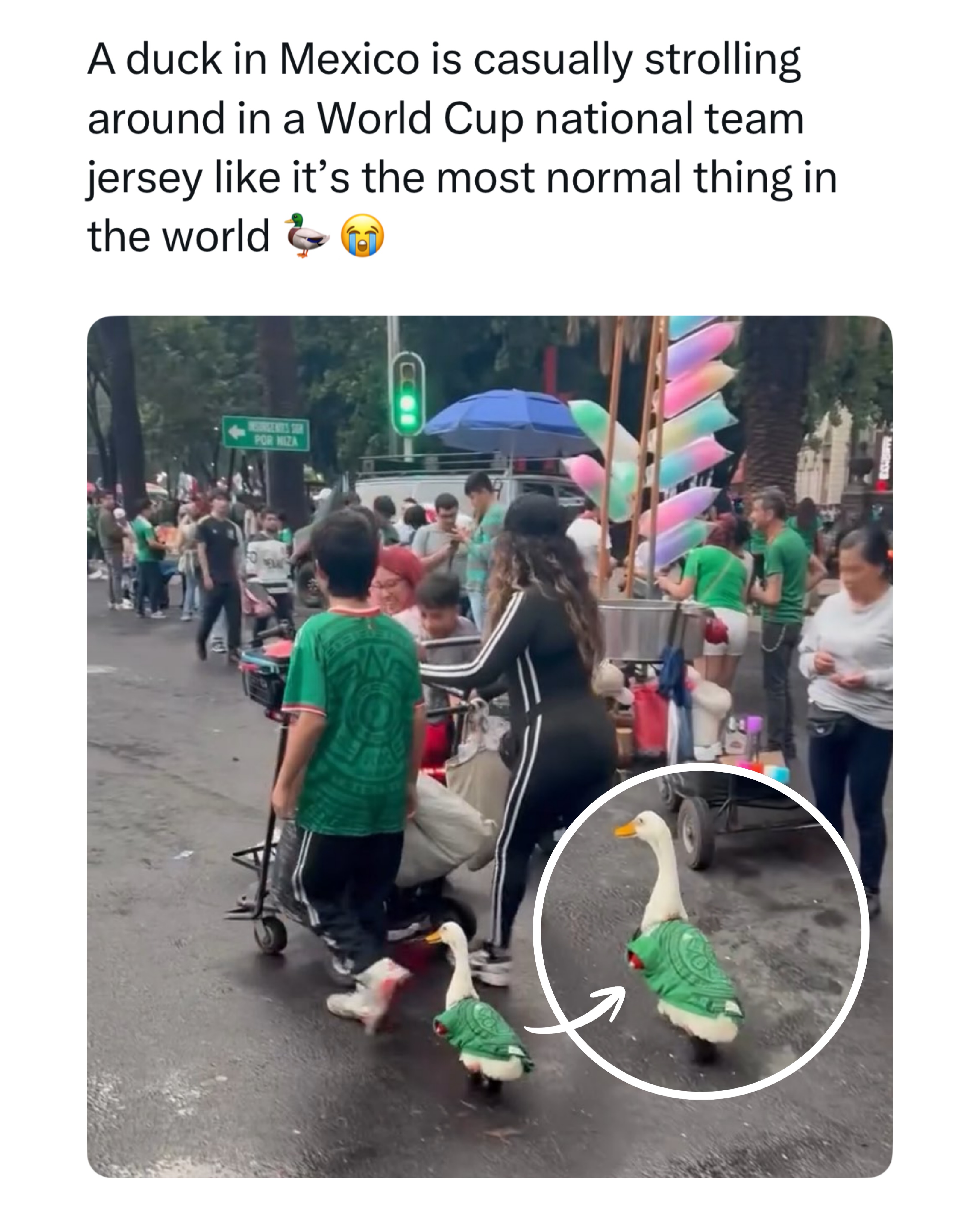 Swipe 😭➡️ A duck showing up to support Mexico might be the least chaotic thing we’ve seen from this World Cup so far 

(🎥: @chris.sutton9)

The opening match of the 2026 FIFA World Cup had everything: a packed Estadio Azteca, the tournament’s first goal, a veteran hero, and absolute chaos. Mexico got off to the perfect start with Julián Quiñones finding the net just nine minutes in before Raúl Jiménez sealed a 2-0 victory with a second half header. By the final whistle, El Tri had secured three points and the entire country was celebrating.

What people will remember most, though, is the drama. The match became the first World Cup opener ever to feature three red cards, with South Africa reduced to nine men before Mexico also had a player sent off in stoppage time. Between the goals, the tension, and the historic chaos, the tournament announced its arrival in unforgettable fashion. Which somehow makes a duck casually strolling through Mexico City in a national team jersey feel completely on brand.