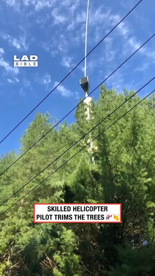 Health and Safety having a heart attack watching this 😂⁠
⁠
In some areas, helicopters are fitted with large rotating saw systems — often called aerial saws, to trim trees near power lines and other hard-to-reach infrastructure. Rather than carrying a single chainsaw, these systems usually consist of a vertical pole fitted with multiple circular saw blades suspended beneath the helicopter. Flying with incredible precision, pilots can cut branches and treetops while maintaining a safe distance from power lines, steep terrain, or dense forests. This allows crews to clear vegetation much faster than ground teams in difficult locations.⁠
⁠
The technique is widely used by utility companies to help prevent trees from interfering with electricity networks and reducing the risk of outages. While it can look dramatic from the ground, the process is carefully planned, with specially trained pilots and crews working together to manage safety, weather conditions, and flight paths. It’s one of the most unusual examples of aviation and forestry technology working hand in hand.⁠
⁠
#ladbible #engineering