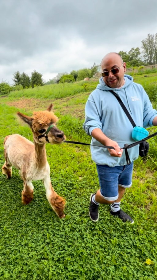 Did you know you can walk an alpaca? 🦙✨

Alpine Ridge Alpacas offers a one-hour experience where you’ll get paired with your own alpaca bestie and head out on a guided walk. Each alpaca has their own hilarious personality, and Stanley quickly stole my heart.

🦙 @alpineridgealpacas 
📍728398 Side Road 21, Blue Mountains, ON
🎟️ Tickets start at $44.93 per person 
Between feeding him treats, snapping photos, and spending time together, I was smiling the entire time. He was the fluffiest little sidekick, and the whole experience was wholesome, fun, and even cuter than I expected 💖

10/10 summer adventure. If you’re looking for unique things to do near Blue Mountain , add an alpaca walk to your list 📝

___________________________________________
#alpacas #alpacawalking #bluemountainsontario #ontarioadventures #ontariodaytrips