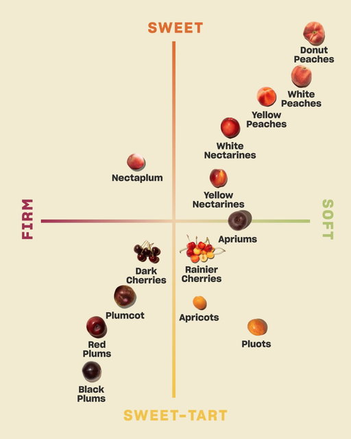 If you haven’t noticed by now, we like to chart our produce. Turns out, stone fruit has RANGE. Where do your favorites land?