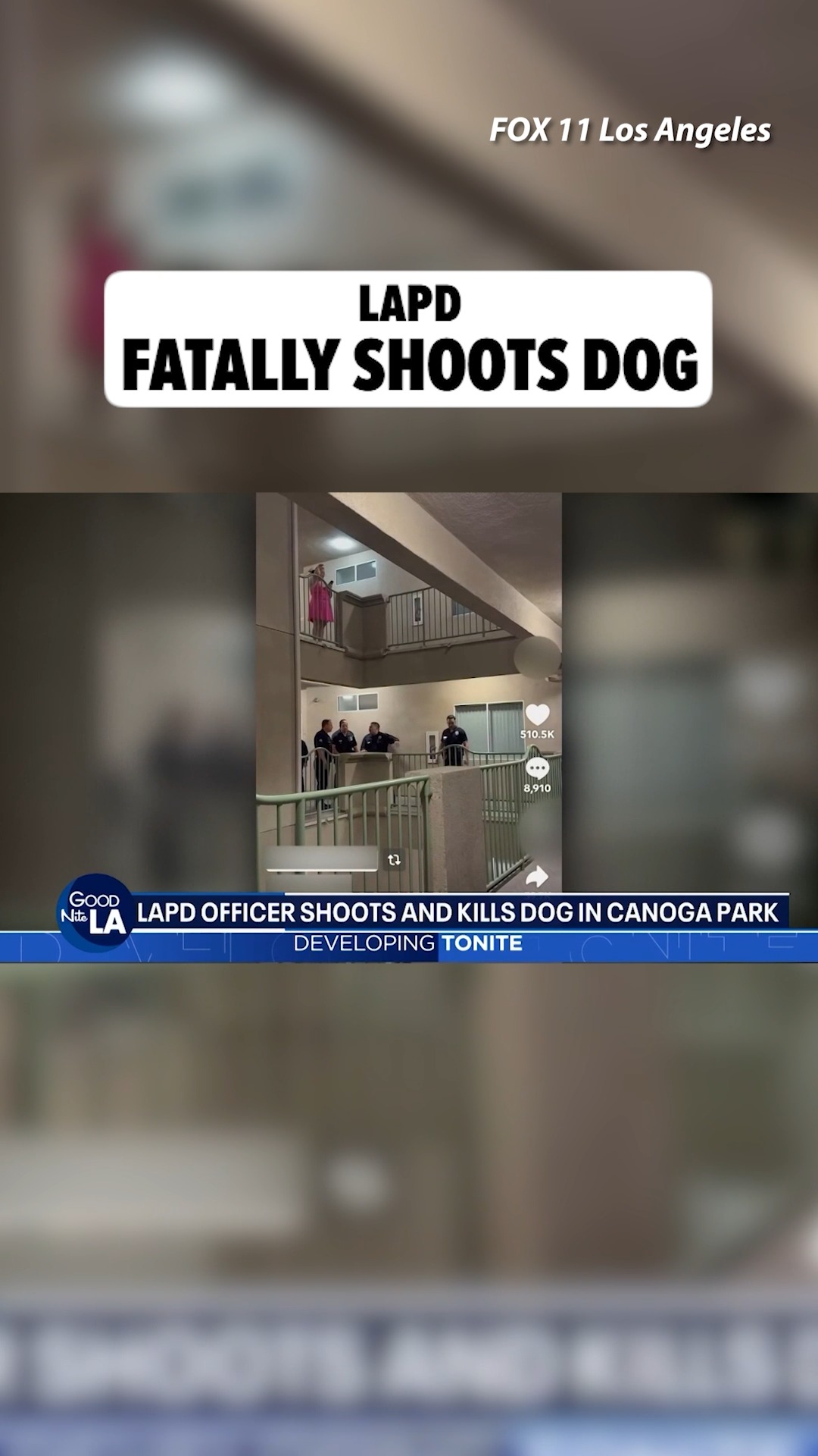 LAPD shot and killed a 2-year-old dog who wasn't doing anything wrong ... at least according to his owner.

🎥: FOX 11 Los Angeles