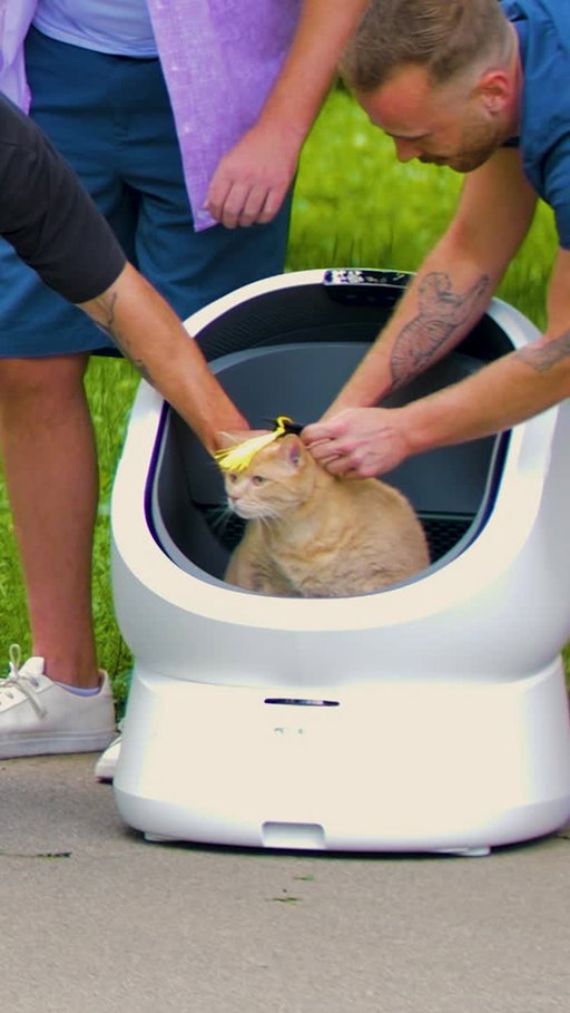 Smart cats pick @Petlibro Luma smart litter box

Link in bio and get 20% off with code Smart20 #petlibro #SmartLitterBox #CatTok #PetTech #LitterBox