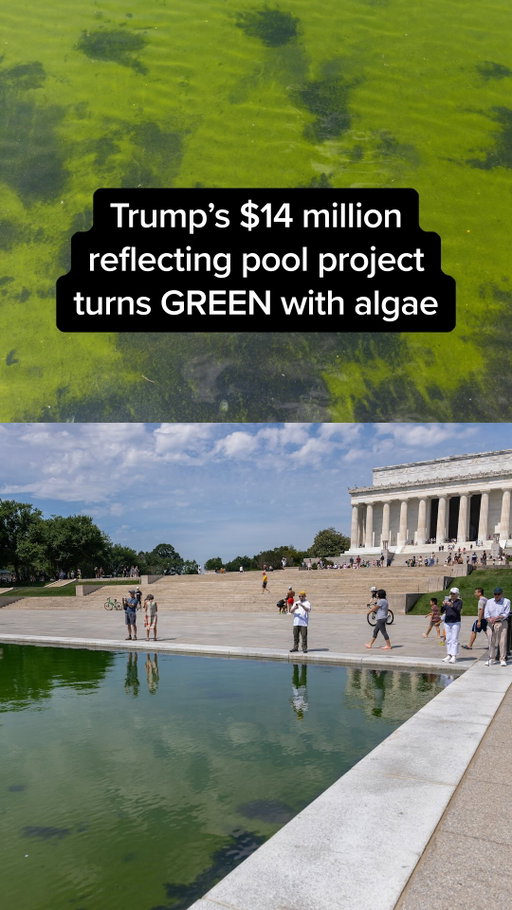 “It’s puke green. I want to puke. This is how ugly it is.”

President Trump’s $14 million renovation of the Lincoln Memorial Reflecting Pool was intended to turn the water “American flag blue.” But just weeks after reopening, the pool has turned green with algae.

MS NOW’s @jules.reports asked people what they think of its new color.

#news #trump #reflectingpool