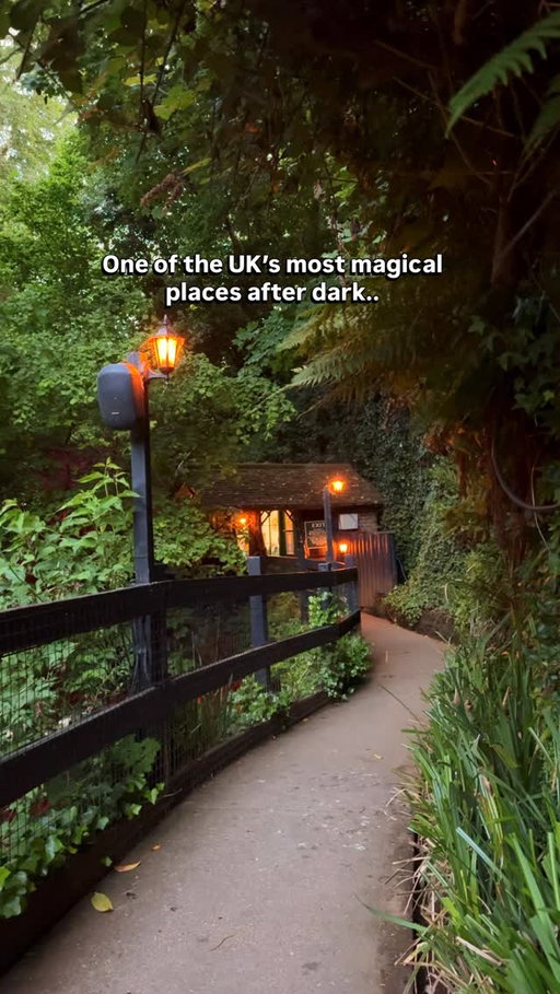Somewhere in England after dark 🌙✨

A night walk that feels completely different once the sun goes down.

Hidden on the Isle of Wight, this illuminated gorge walk takes you through glowing woodland paths, waterfalls, and peaceful nature sounds - it honestly feels like another world.

📌 Shanklin Chine

🌿 What to expect:
• Lit-up woodland trail
• Waterfalls and streams at night
• Short, scenic evening walk
• Very different from the daytime experience

💷 Price: Around £13 per person (a bit expensive but valid for a week)

🚆 How to get there from London:
Train from London Waterloo → Portsmouth Harbour, ferry to Ryde, then train to Shanklin. About a 10–15 min walk from there.

📍Save this for a unique UK night walk 🌙

#isleofwight #shanklinchine #uktravel #weekendtripfromlondon #englandtravel