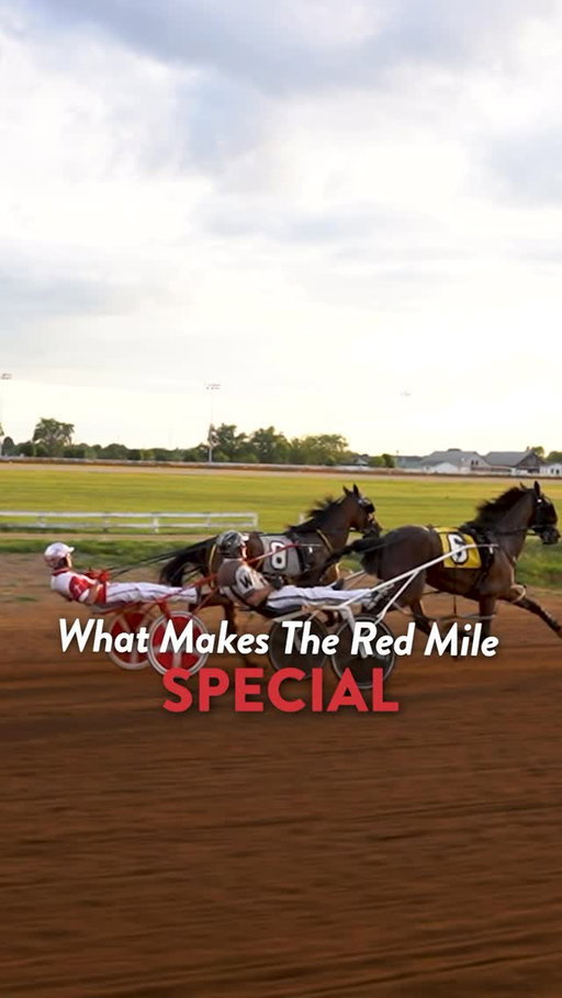 With a rich history of over 150 years, the Red Mile hosts the best of the best each season. Just steps from downtown Lexington, you can enjoy a fulll Kentucky experience all in one weekend. 

Join us July 26th-October 10th for a rememberable season of harness racing!

#harnessracing #lexingtonky #standardbred #visitlex