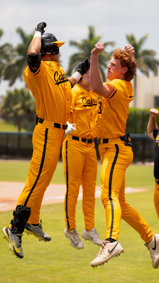 He’s hot.

#thecanes #DifferentBrandOfBaseball