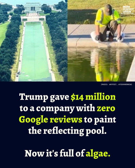 In May the Trump administration awarded a $14.2  million no-bid contract to Atlantic Industrial Coatings to paint the Reflecting Pool blue.

According to the National Park Service, the 20% profit margin on this contract is considered “excessive.”