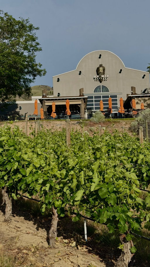 4 Reasons Nk’Mip Cellars Needs to Be on Your BC Bucket List 🍷🌵

North America’s first Indigenous-owned winery is sitting in the middle of Canada’s only desert, and it’s as incredible as it sounds. Here’s why you need to go:

1. The Story Behind Every Sip 🏔️
This isn’t just wine, it’s a living celebration of the Osoyoos Indian Band’s 32,000 acres of heritage, resilience, and deep connection to the land. Every bottle means something.

2. Canada’s Only Desert Backdrop 🌄
Imagine sipping award-winning wine overlooking Osoyoos Lake, surrounded by sun-baked hills and desert landscape. The views alone are worth the drive.

3. Wine That Actually Wins Awards 🥇
Their Qwam Qwmt (meaning “achieving excellence”) reserve wines are internationally recognized. This is world-class winemaking rooted in one of BC’s most unique growing regions.

4. Sweetgrass Restaurant 🌿
Named after a sacred Indigenous plant symbolizing healing and peace, this patio restaurant serves locally sourced food that honours ancestral traditions. It’s a full experience.

✨ BC wine country has a lot to offer, but nowhere else tells a story quite like this.

📍 Osoyoos, BC
🔖 Save this for your next Okanagan trip

#NkMipCellars #BCWine #OkanaganWine #indigenousowned