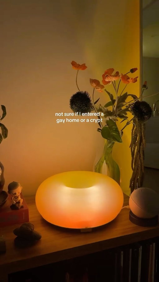 learning to echolocate by clicking my tongue 🗣️

#ambientlighting #moodyinteriors #interiordesign #gay #homedecor 

Gay home, queer friendly, ambient lighting, moody lighting, aesthetic lighting, funny humour, gay taste, interior decor, home inspo, boy apartment, cool lamps, romantic, cool finds, dark room