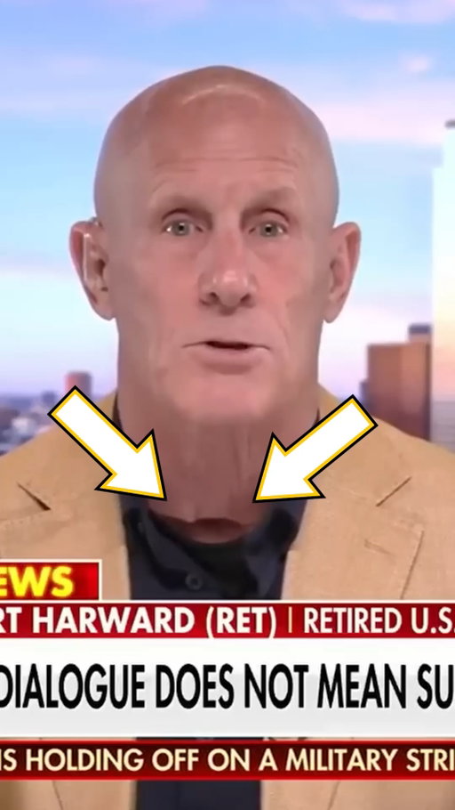Was he wearing A MASK ON NATIONAL TV?

Recently, a Fox News interview went viral after a common guest, Robert Harward, appeared on air with what many flagged as a clear sign that the person shown was someone wearing a mask.

Is Fox News deceiving us all with one of the most ultrarealistic masks we've ever seen, or can this be explained by something as simple as poor lighting?