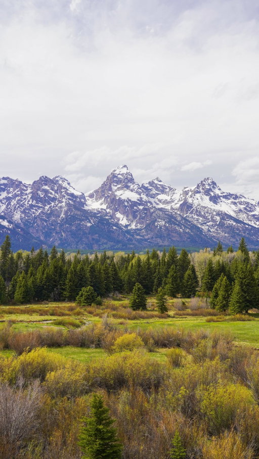 that’s it 🏞️🩵✨🌲☀️

#nationalpark #grandteton #adventure