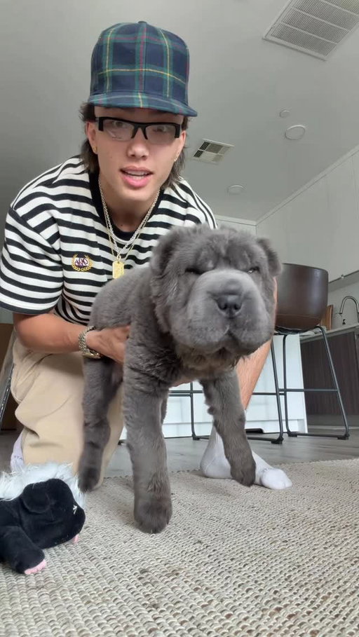 what should I name him?
•
•
•
•
•
#explore #explorepage #reels #viral #dogsofinstagram