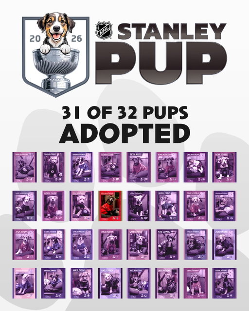 31 of the 32 Stanley Pups have been adopted! 🐶 Visit bvspca.org/stanleypup to help Brad Marchound find a home.

@halocollar | @bissellclean | @brandywinespca