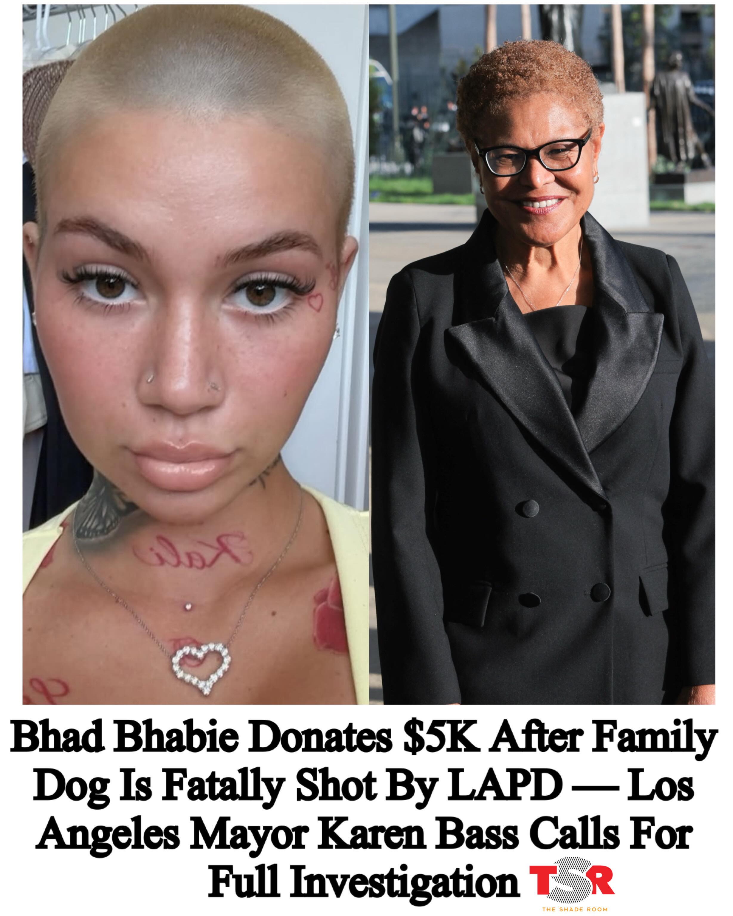 TSR Staff China! @China_lovelace
_________________________
#BhadBhabie and Mayor #KarenBass are speaking out after the police in Los Angeles killed a dog. On Saturday, the Los Angeles police responded to a report of a woman screaming, according to mynewsla. The woman, a Canoga Park resident, was celebrating the New York Knicks’ NBA championship with her son’s 2-year-old golden retriever-Saint Bernard and poodle mix named Jameson. 
_________________________
The dog, who was wearing a Knicks shirt, ran out of the apartment when she answered the dog and was shot by a responding officer. Reports state a neighbor heard two shots. Video from the scene showed the dog’s owner crying as she kneeled over her dying pet. She was captured saying, “He’s such a good dog!”
_________________________
Bhad Bhabie reshared a picture of the dog on IG, writing, “I’m heartbroken.” In addition, she revealed that she donated $5,000 to the GoFundMe account on behalf of Jameson. Mayor Bass also released a statement on Wednesday that a full investigation would be conducted into the fatal shooting of Jameson. SWIPE ✍🏾#TSRStaffAS 📷:(@gettyimages)