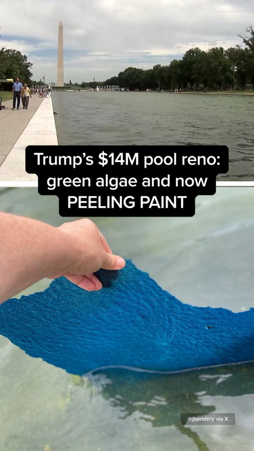 First, Trump’s $14 million Reflecting Pool renovation turned green with algae. Now, the “American flag blue” paint is PEELING off in large chunks.

#news #trump #reflectingpool #dc