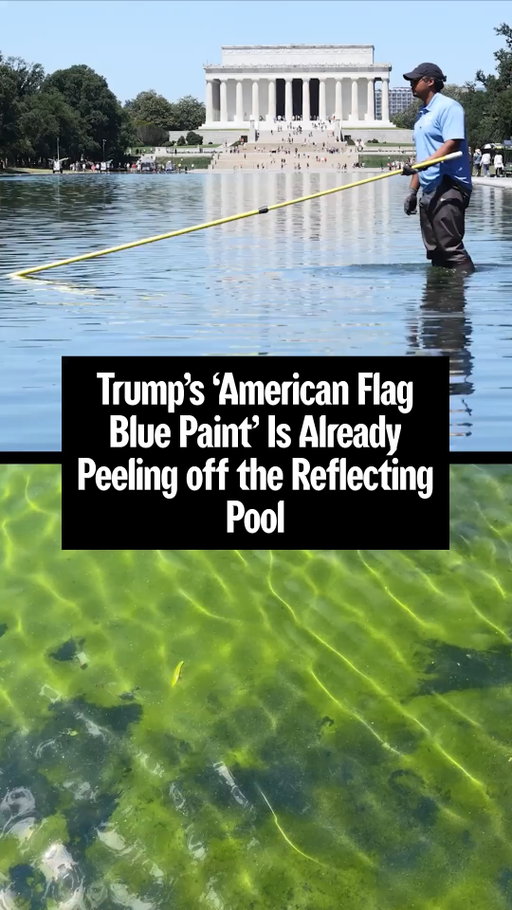 US president Donald Trump’s recently-completed renovation of the Lincoln Memorial Reflecting Pool has run into more trouble.

Just days after the eight-week project, which cost more than $14 million, was completed, algae bloomed in the hot weather in Washington, DC. Now, several days later again, paint or sealant installed on the bottom of the pool, the color of which Trump described as “American flag blue,” appears to be peeling away. 

For more on the renovation, timed to coincide with the 250th anniversary of the formation of the United States, tap the 🔗 in bio.