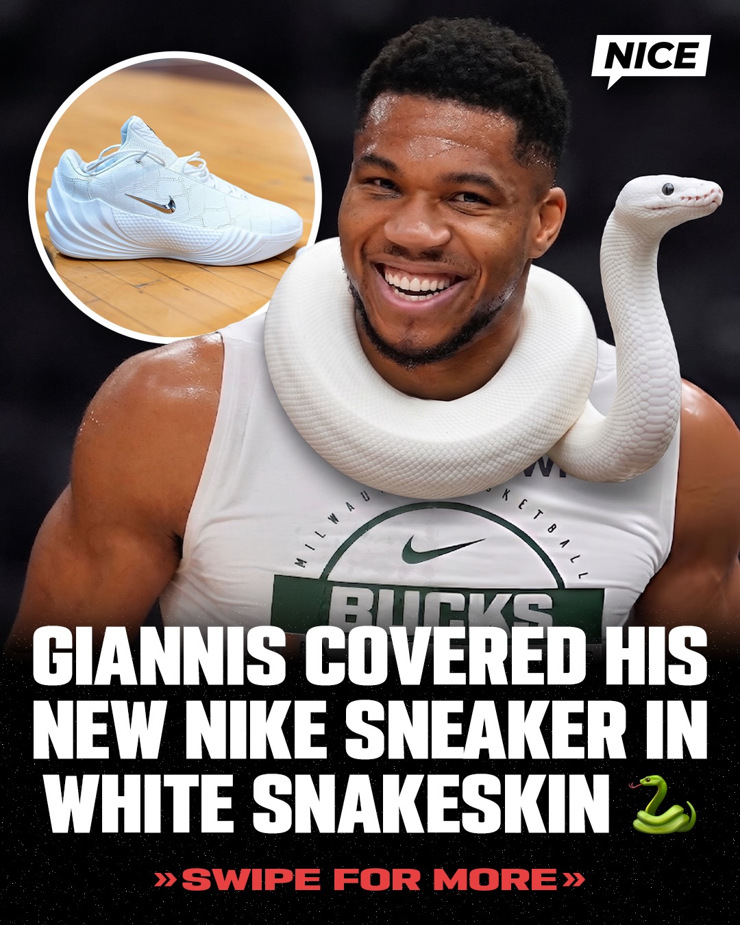 Giannis Antetokounmpo teased an upcoming “White Snakeskin” Nike Giannis Freak 8 colorway 🐍👀 @nicekickshoops