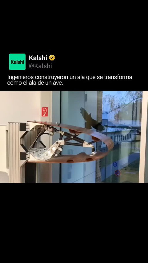 Investigadores desarrollan alas adaptativas capaces de cambiar de forma en pleno vuelo, imitando el control y la eficiencia de las aves. A diferencia de los aviones tradicionales con flaps rígidos, este diseño se remodela continuamente en tiempo real para optimizar la aerodinámica, reducir la resistencia y mejorar el consumo de combustible, definiendo el futuro de la aviación.

#kalshi #kalshiespañol