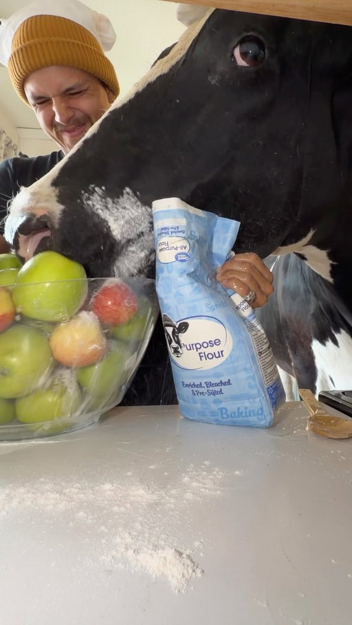 Trying to make apple pie with Bruce! #cow #brucethecow #farm #animals