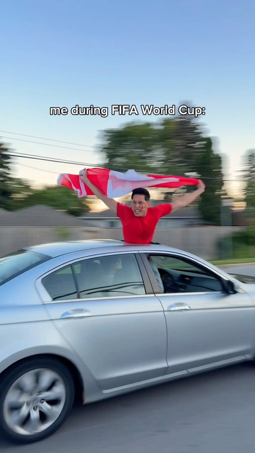 as I should #fifa #worldcup #football #soccer #comedy