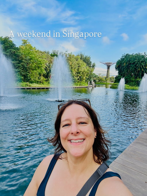 Had a lovely weekend in Singapore and added another country to the list! Enjoyed walking around the city and finding all the vegan eats!
 
#solotravel #singapore #vegantravel