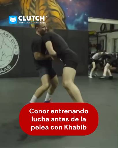 Conor McGregor durante su preparación de lucha en 2018 antes del legendario enfrentamiento contra Khabib 🤼♂️

Da curiosidad saber en qué nivel está hoy 🤔