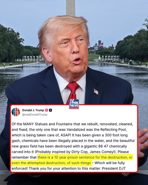 JUST IN: President Trump threatens a 10-year prison sentence after photos and videos appear to show people damaging and removing pieces of the newly renovated Reflecting Pool in Washington, D.C.

"There is a 10 year prison sentence for the destruction, or even the attempted destruction, of such things — which will be fully enforced!"