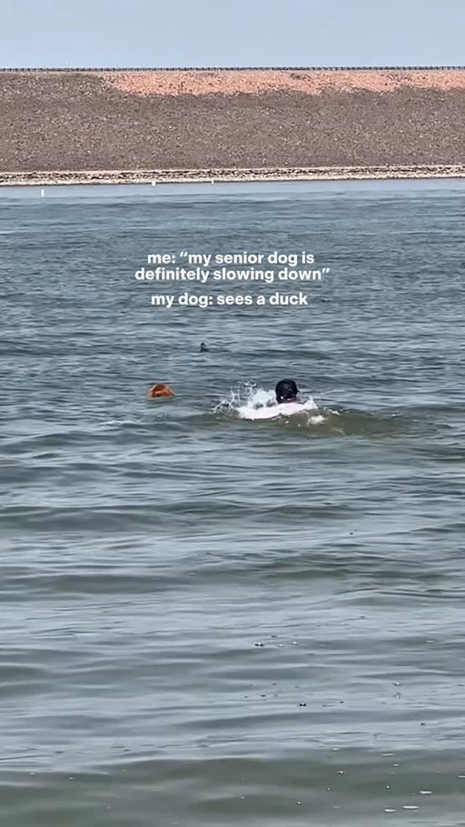 My 12yo boys still got it 🥹 we saw a new side of cherry creek reservoir today

#denver #colorado