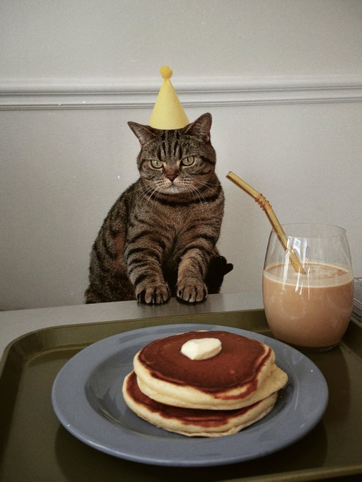 Our Pan-Cakie is turning 4 today🥞

Looking back through her photos today made us realise just how much of our life she’s been part of. It’s funny how a camera roll quietly becomes a record of growing up together, not to mention how grumpy she looks sometimes 🫪

Happy 4th birthday to our Chief Furry Officer who turned our flat into a home.

We feel so lucky to have you 💛
.
.
.
#catsathome #catsofinstagram #petfriendlyhome #homediary #slowliving