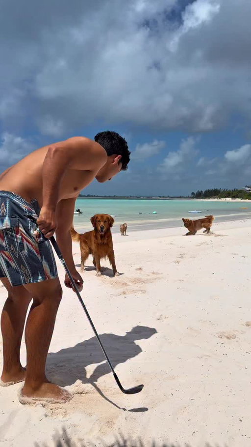 The best range pickers 🐶

@theabacoclub 

#golf #beach #dogs