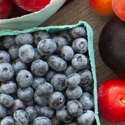 ⭐🫐 
A Handful of Summer.

Sometimes the best ingredients don't need much. Sweet, juicy blueberries are one of those rare seasonal pleasures that are just as good by the handful as they are in a pie, smoothie, or bowl of yogurt.

Bring home a taste of summer, today.

#UnionMarketNYC #UnionMarketNYCSeasonal #UnionMarketNYCEats #GoodFoodMatters #Blueberries #SummerFruit #BrooklynEats