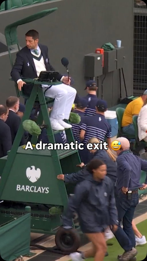 The umpire’s reaction 😂