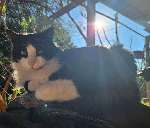 Loaf gettin Toasty