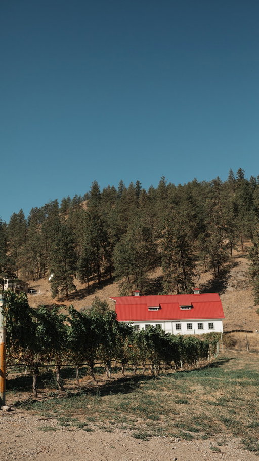 Your daily sound bath, but make it SYLR. 🍷

(Inner peace unlocked.)

BC wine, See Ya Later Ranch Winery, Okanagan Falls, winery visit, wine country BC #BCWine #OkanaganWinery