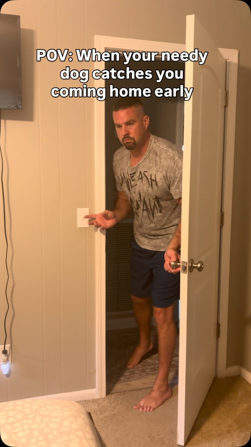 Missed my curfew ⏰ 

#doglife #dogdad