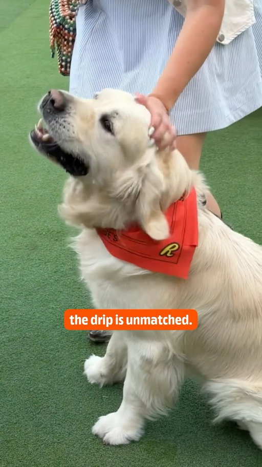 REESE’S fans come in all shapes and sizes. we’re obsessed with this one specifically. 🐾