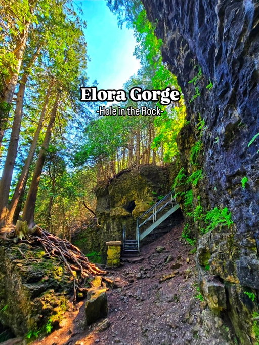 There's a staircase carved through solid rock that drops you into one of Ontario's most jaw-dropping gorges — and most people drive right past it. 👇

The Hole in the Rock at Elora Gorge is exactly what it sounds like. A stone staircase spirals down through a split in a massive limestone boulder, landing you at the base of 22-metre cliffs that have been carved by the Grand River for 450 million years.

Standing at the bottom looking up? Genuinely unreal.

This trail punches way above its weight for the effort. It's moderate, under 2 hours, and packed with ancient forest, exposed roots sprawling across bedrock, riverside views, and gorge lookouts that'll make your camera work overtime. If the timing is right, you'll watch tubers floating through the canyon below while you're standing at the rim — two completely different worlds stacked on top of each other.

Ontario hikers — tag someone who needs to see this trail. 👇 And if you're saving spots for summer, drop this one in your list — Elora Gorge earns it.

Drop a 💚 if you’re adding this to your hiking list!
🔥 Be sure to save this trail for later!
°
°
📍  Elora Gorge - Hole in the Rock Trail
🥾  2.8 km 
🎚️ Moderate 
📷  Samsung S26 Ultra
🚗  1hr 30m from Toronto
°
°
°
°
°
°
°
°
°
#exploreontario #ontariotrails #getoutside #ontariohiking #hiking

Liberally the incredible hole in the rock!

Peekaboo spot to view friends

Stairs down below for views

Elora Gorge Falls (also known as the Tooth of Time Falls)

Tubers tubing their tubing way across the tubing river!
