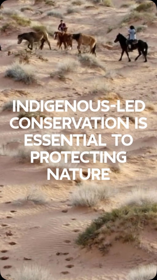 Indigenous communities have long stewarded lands and waters through place-based knowledge, governance and practices that sustain ecosystems across generations.

As lands and waters face growing pressure, Indigenous leadership is essential to shaping durable approaches to conservation.

Learn more on our website.