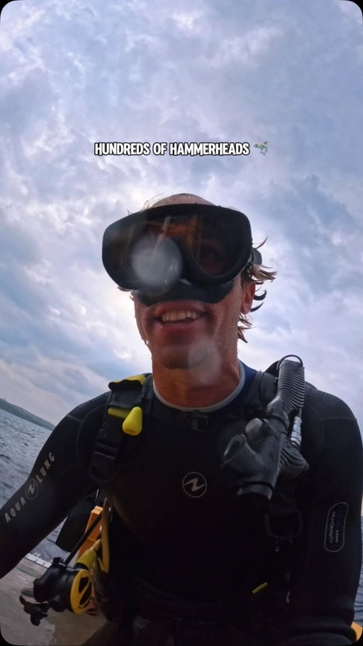 we got hammered in Japan! 🦈🇯🇵

Such a wild and unique experience that can only be experienced a few places in the world! 🤯🌎

Grateful to tick it off this experience here in Yonaguni Island Japan. Japans western most point! 📍🇯🇵

Diving with the team at @souwes_yonaguni 🦈

.
#hammerhead #hammerheadshark #sharks #shark #sharkdiving yonaguniisland okinawa okinawajapan