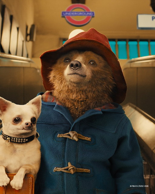 HAPPY BIRTHDAY PADDINGTON! 🎂🥹 Did you know Paddington has two birthdays, just like the King? One on 25 June and one on 25 December. ✨

#paddington #londonactivities #thingstodoinlondon #paddingtonbear