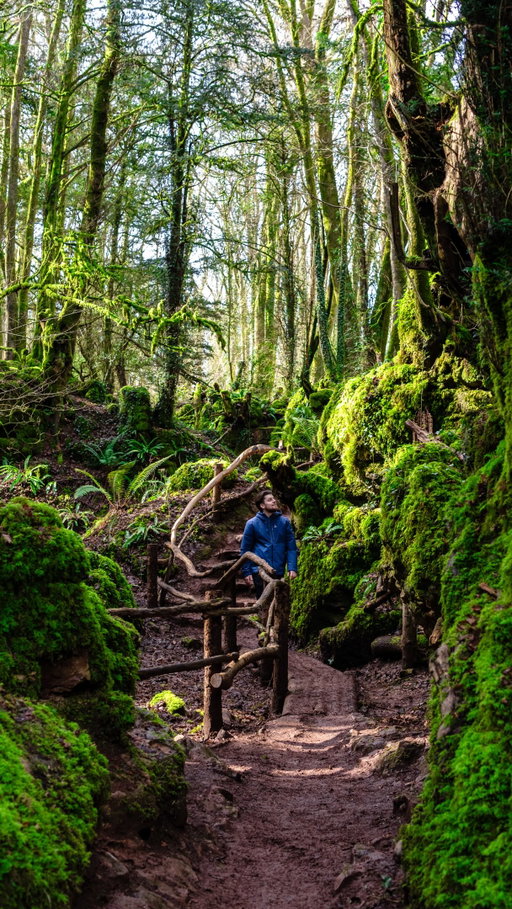Is this the closest thing to middle earth in the UK? 🤔💍✨

(FOLLOW @lockdownmadeustravel for more beginner friendly travel inspo)

We just found one of the most magical forests in the UK… and it’s believed to have inspired J.R.R. Tolkien when creating middle earth. 🧙‍♂️🌿

📍 Puzzlewood, Perrygrove Rd, Coleford, GL16 8QB

Hidden inside the Forest of Dean, this ancient woodland is full of moss-covered rocks, twisted trees, and winding paths that look like they’re straight out of a fantasy film.

Tolkien grew up nearby and is thought to have visited this area, with many people believing Puzzlewood helped inspire the landscapes of The Lord of the Rings. 💍

The forest has also been used as a filming location for productions like Harry Potter, Star Wars, and Merlin thanks to its storybook feel. 🌌

It honestly feels like you’ve stepped into a real-life fantasy world… right here in the UK. 🌳✨

Things you need to know before visiting 👇🏼

🚗 Just over 2 hours from London / Heathrow
🥾 Wear walking boots (it gets very muddy in winter)
🐶 No dogs allowed 🚫
🚁 No drones or tripods permitted 🚫
💷 £9.90 adults / £8.50 children
🌐 Opening times change throughout the year
☕️ Toilets & refreshments available on site

Would you explore this real-life Middle-earth? 🤔

#uktravel #beginnertraveler #forestofdean #adventures #forest