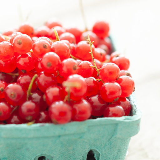 ⭐❤️ 
A Summer Rarity
Red currants don't stay around for long. 

Their bright flavor and delicate beauty make them one of the season's most anticipated arrivals for fruit lovers.

A reminder to enjoy what's here while it lasts.

#UnionMarketNYC #UnionMarketNYCSeasonal #UnionMarketNYCEats #GoodFoodMatters #RedCurrants #SummerFruit #BrooklynEats